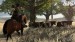 red-dead-redemption-20100224074740003